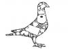 class image